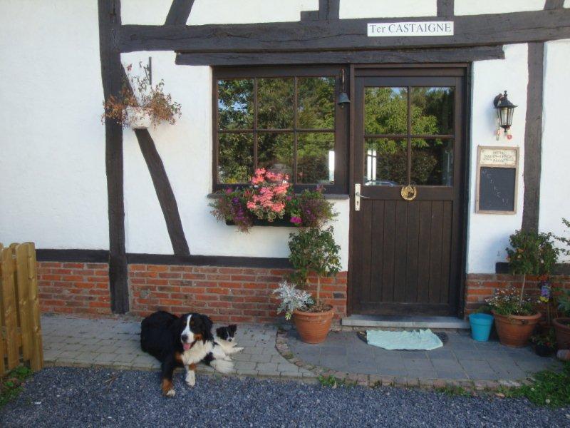 B&B Ter Castaigne Koekelare Exteriér fotografie